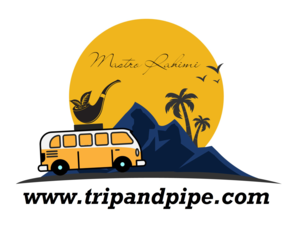 Travel-logo-design-Graphics-9786083-1 (1)