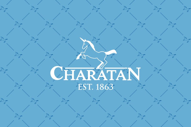 سفری پر فراز و نشیب یک برند اسطوره‌ای